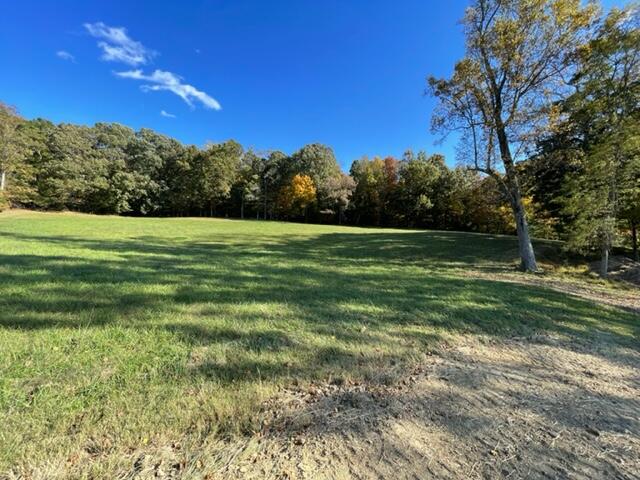 Tbd Milburnton Road, Unit LOT #3 Limestone, TN 37681 - Photo 2 of 20 56F71CFE-C679-4AA9-AC52-C19E1A3898DC