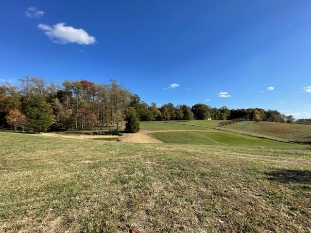 Tbd Milburnton Road, Unit LOT #3 Limestone, TN 37681 - Photo 6 of 20 7199D999-F6D1-4C03-869C-CA8199D2FF73