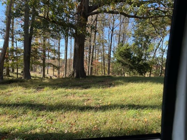 Tbd Milburnton Road, Unit LOT #3 Limestone, TN 37681 - Photo 9 of 20 D15F2B6C-93E9-4A74-9436-4543AD577A42