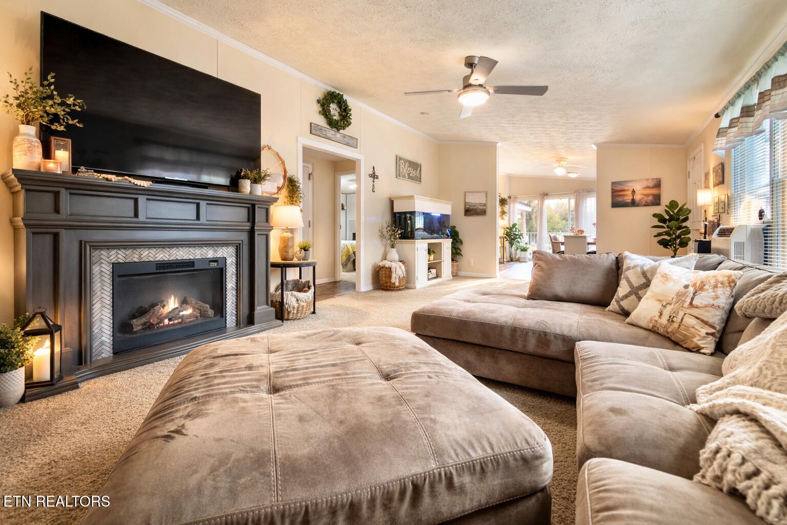 818 Fair Street Sweetwater, TN 37874 - Photo 3 of 15 Image 3