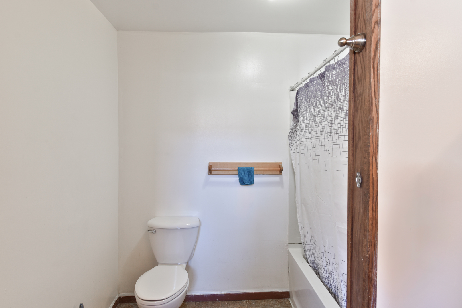 118 East Main Street Dwight, IL 60420 - Photo 57 of 77