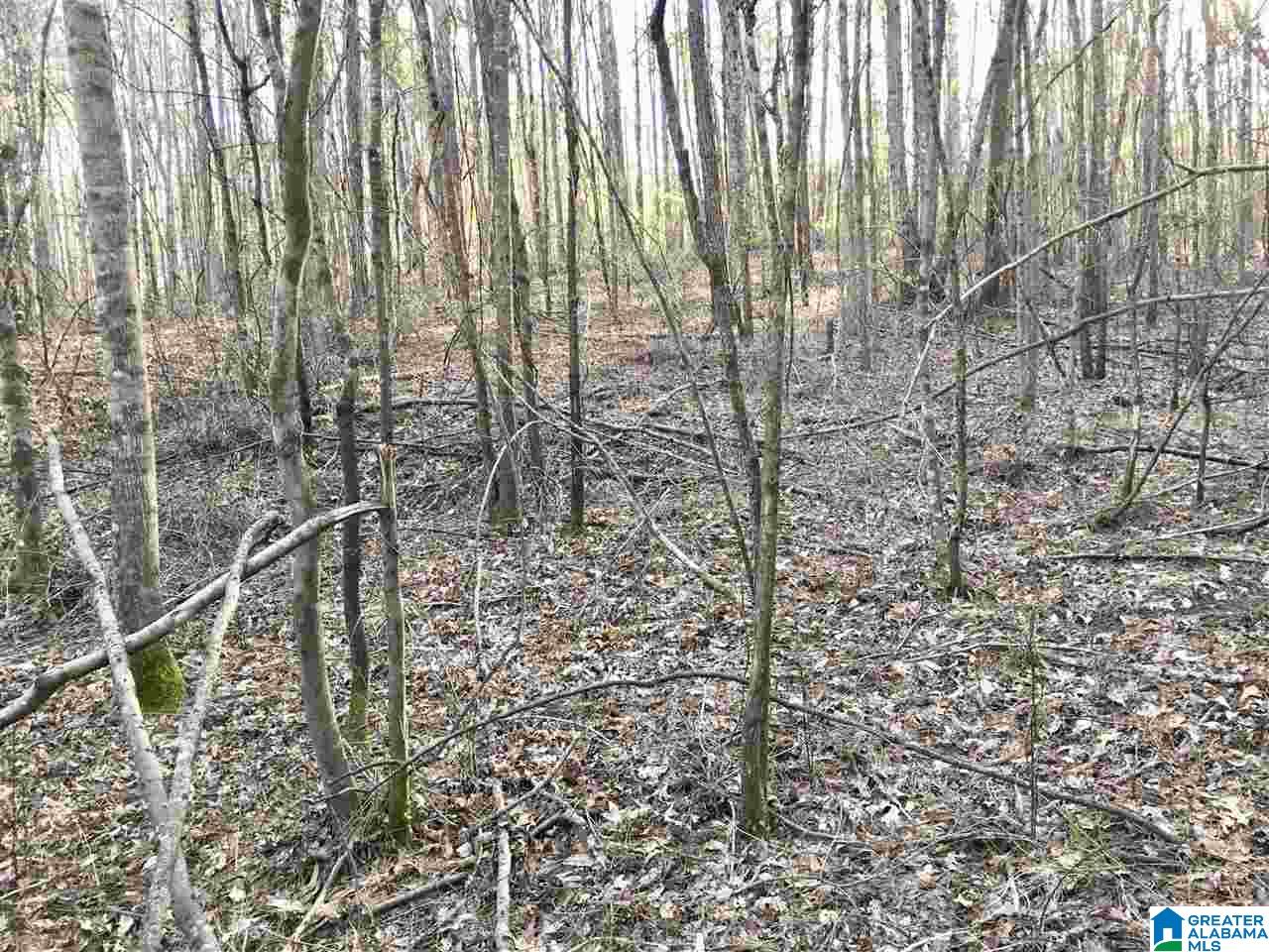 0 6th Street Alexander City, AL 35010 - Photo 6 of 13