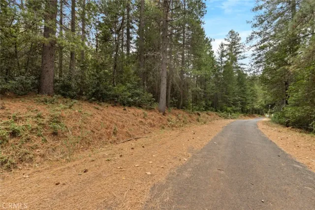 a view of a yard with trees