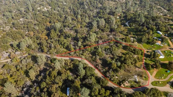 a view of a field with a tree