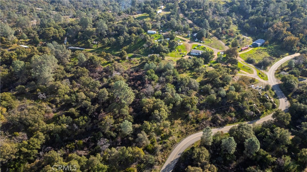 3978 Silver Bar Road Mariposa, CA 95338 - Photo 2 of 8 a view of a tree
