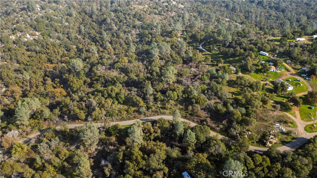 3978 Silver Bar Road Mariposa, CA 95338 - Photo 4 of 8 a view of a tree