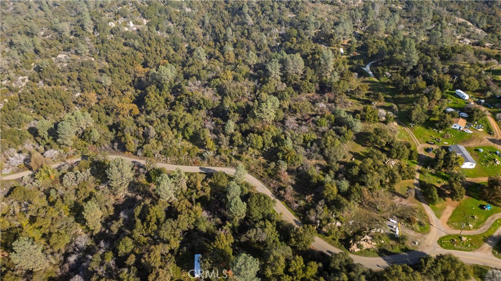 3978 Silver Bar Road Mariposa, CA 95338 - Photo 5 of 8 a view of a tree