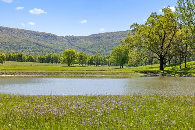 $1,400,000 | 951 Alvin C York Highway, Whitwell, TN 37397