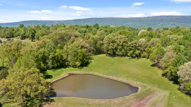$1,400,000 | 951 Alvin C York Highway, Whitwell, TN 37397