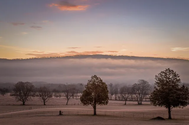 $1,400,000 | 951 Alvin C York Highway, Whitwell, TN 37397