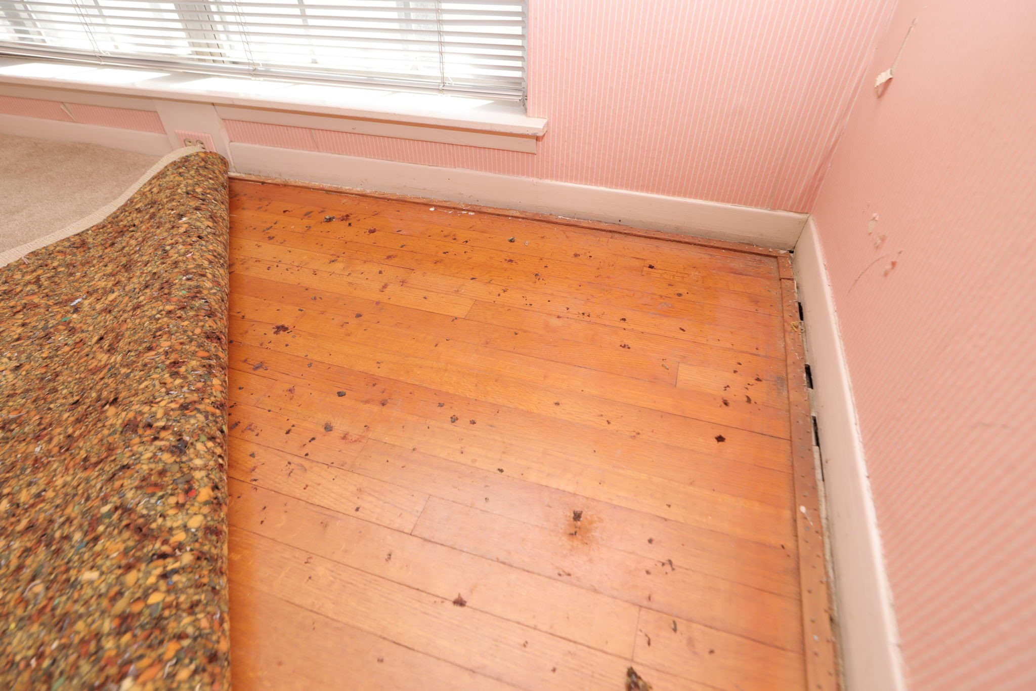 7158 Sharpview Drive Houston, TX 77074 - Photo 22 of 35 a bathroom with a shower