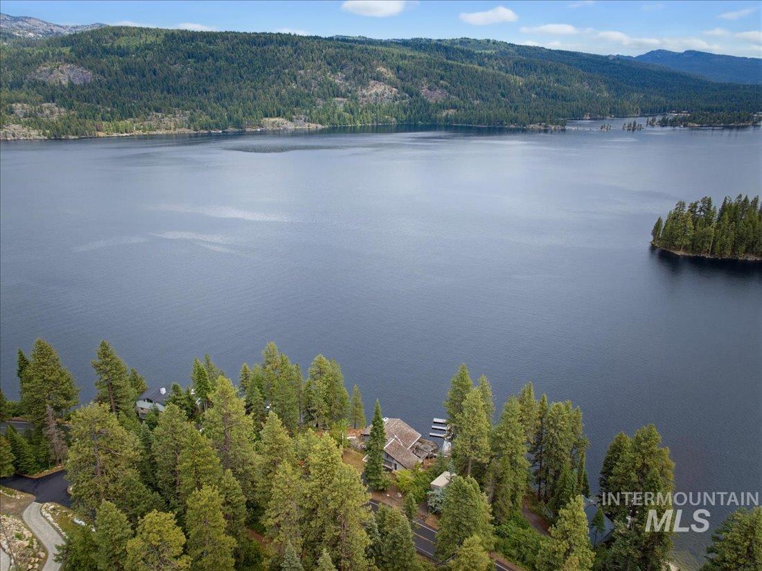 3800 Warren Wagon Road McCall, ID 83638 - Photo 43 of 50 Expansive lakefront property featuring a private dock, mature evergreen trees, and a paved drive