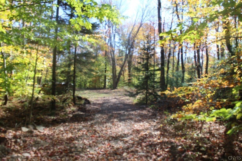 Lot 3 Fox Brook Road Redfield, NY 13437 - Photo 1 of 1 Gallery Image 1