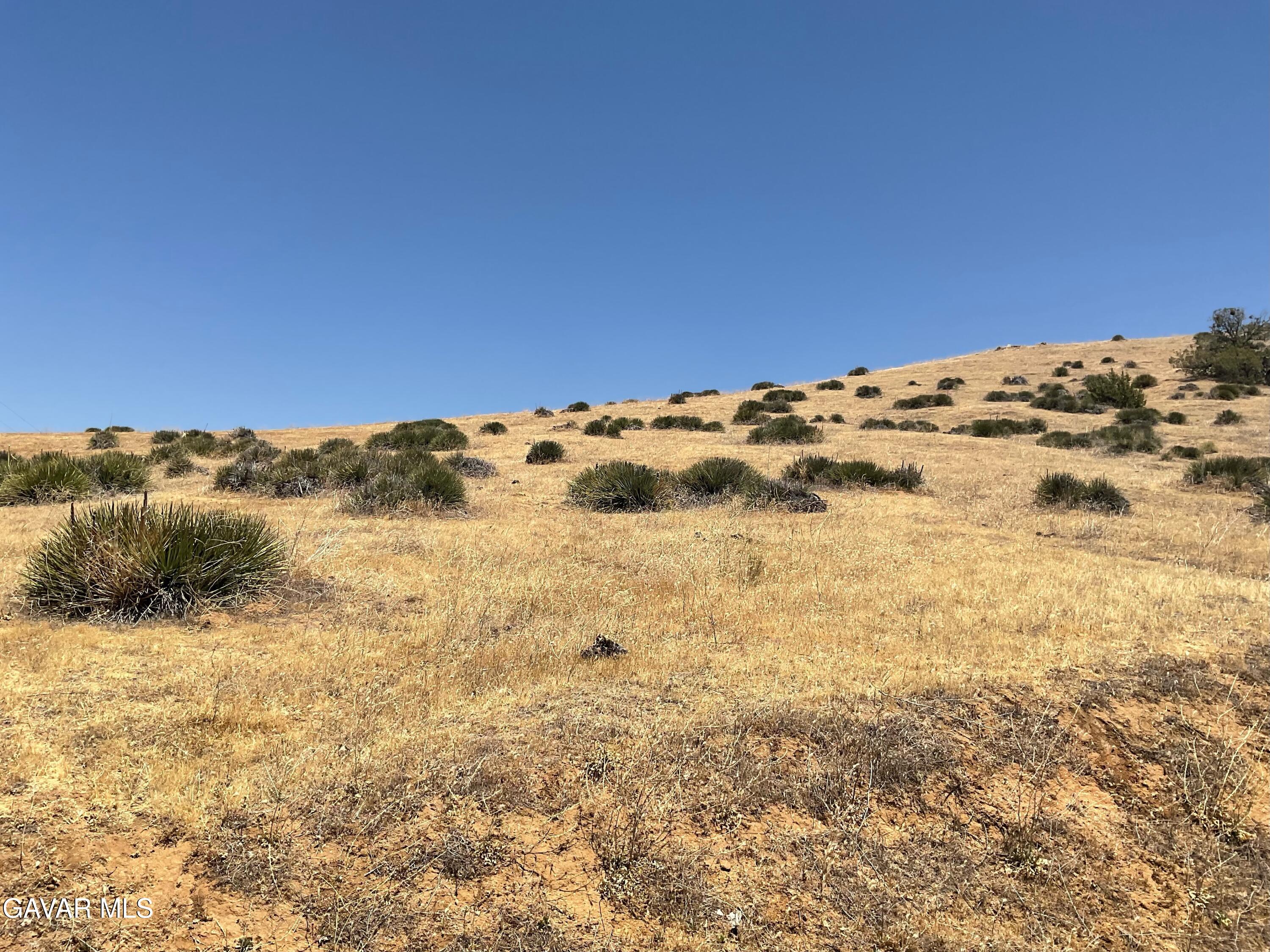 Oak View Lane Caliente, CA 93518 - Photo 6 of 9 a view of a mountain view