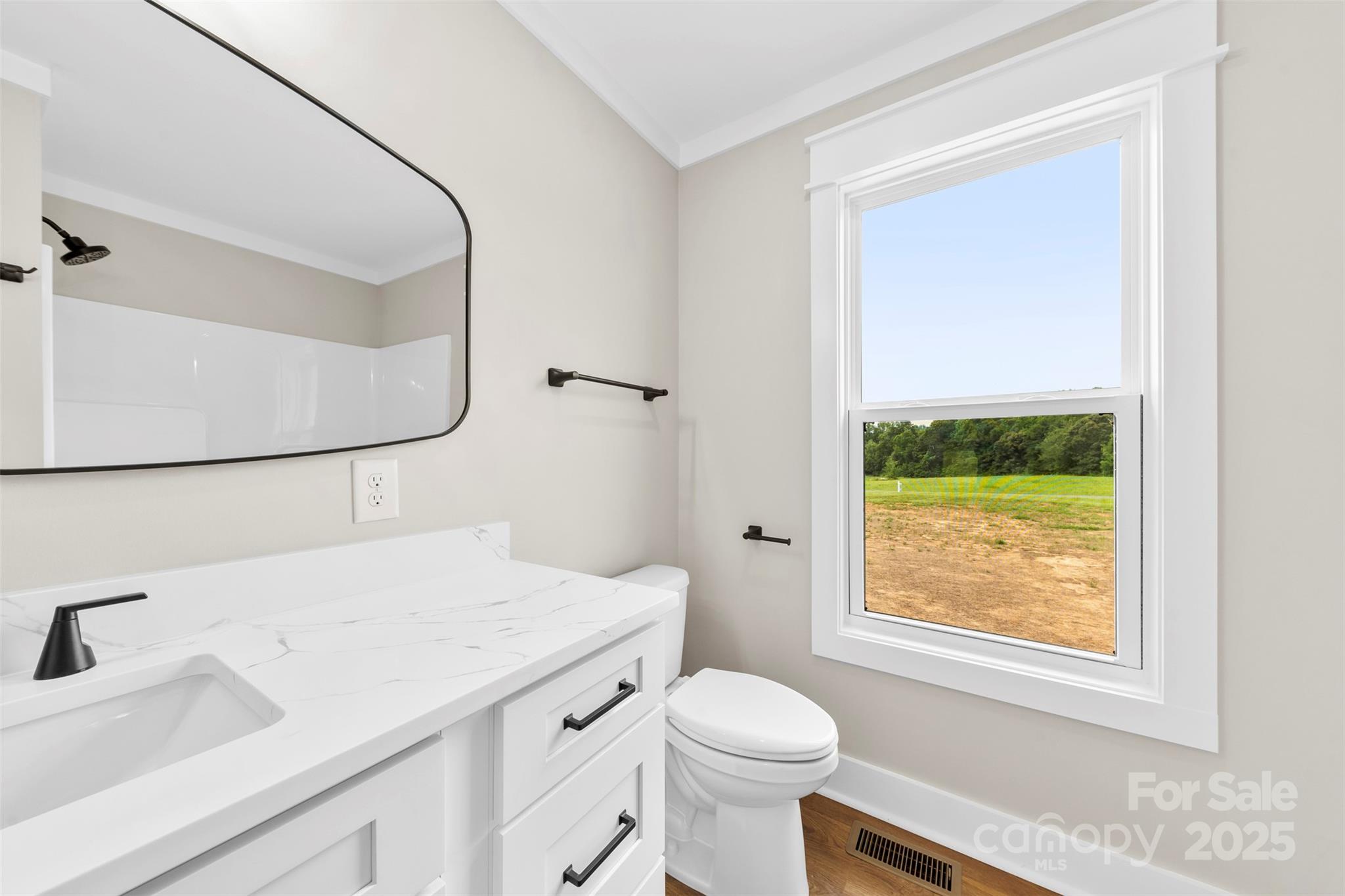 6788 Clyde Wehunt Road Cherryville, NC 28021 - Photo 11 of 25 a bathroom with a sink a toilet and a window