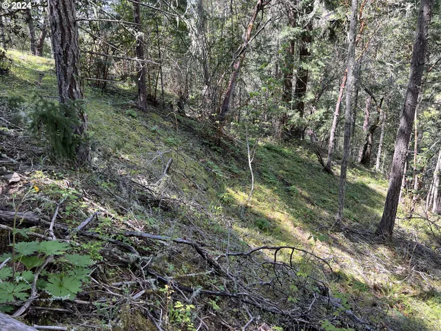 $39,900 | 300 Clarks Branch Road, Myrtle Creek, OR 97457