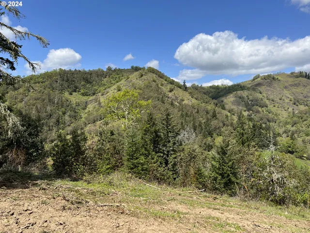 $39,900 | 300 Clarks Branch Road, Myrtle Creek, OR 97457