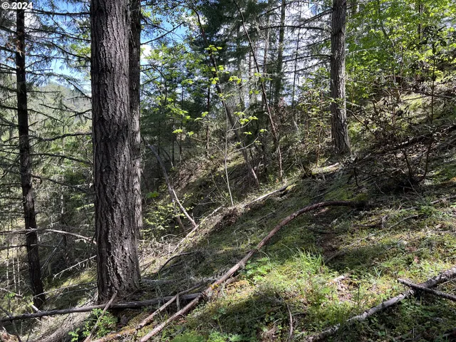 $39,900 | 300 Clarks Branch Road, Myrtle Creek, OR 97457