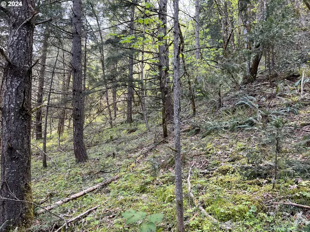 $39,900 | 300 Clarks Branch Road, Myrtle Creek, OR 97457