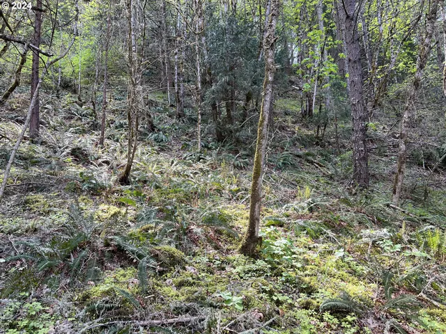 $39,900 | 300 Clarks Branch Road, Myrtle Creek, OR 97457