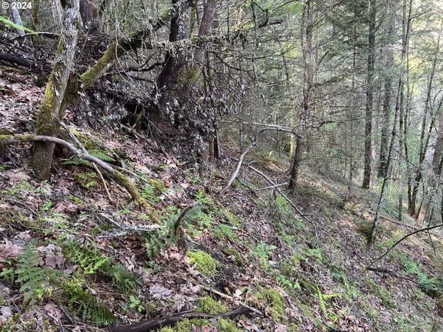 $39,900 | 300 Clarks Branch Road, Myrtle Creek, OR 97457