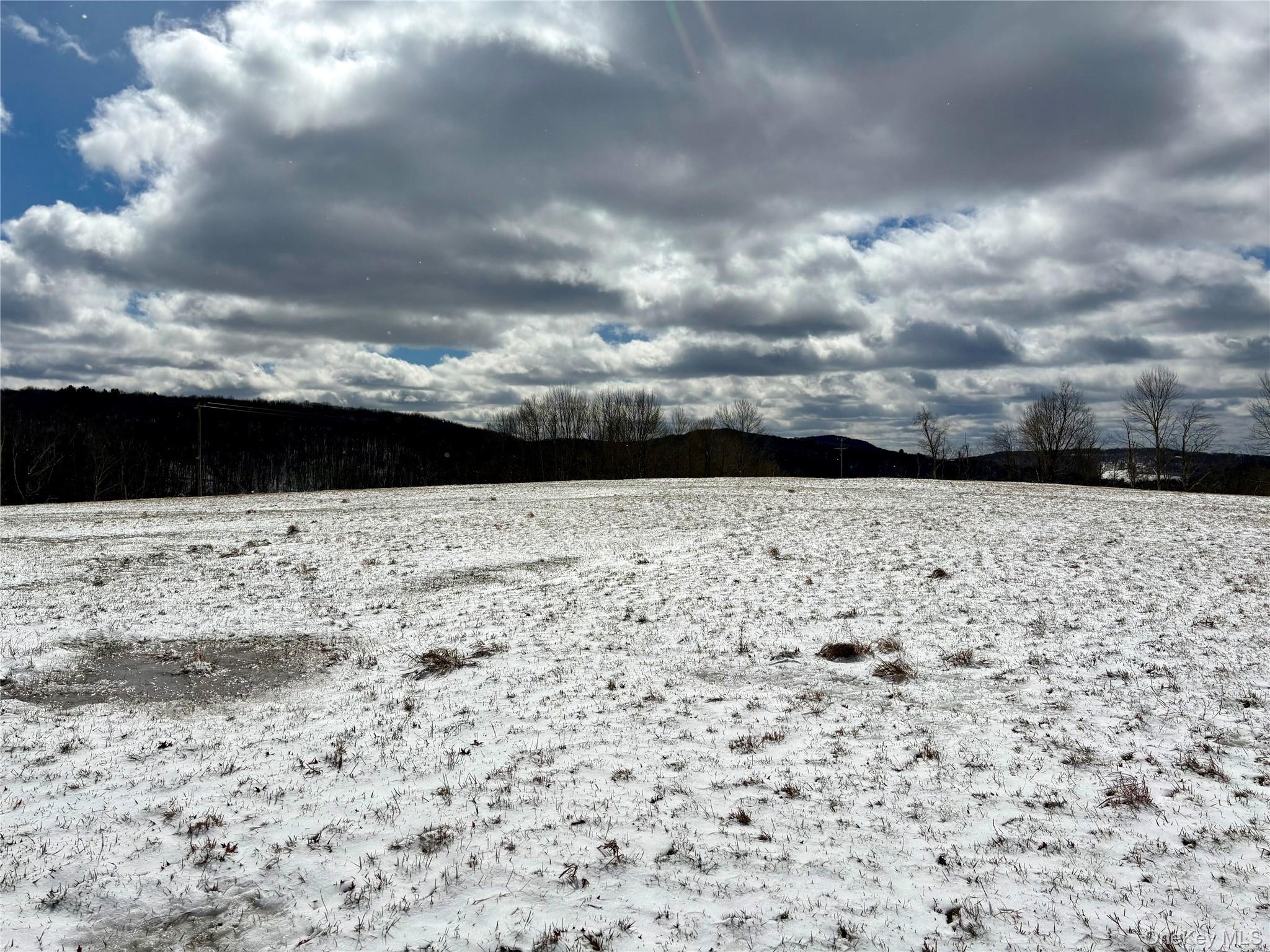 14 Frelich Rd/t R 28 Fremont Center, NY 12736 - Photo 33 of 47