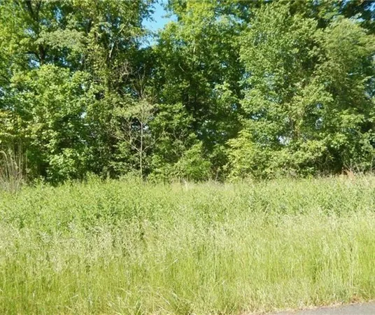 $30,000 | Lot 58 Sawmill Road, Greensburg, PA 15601