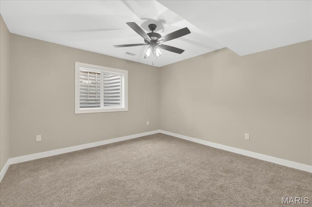 844 Mohave Court Shiloh, IL 62221 - Photo 30 of 34