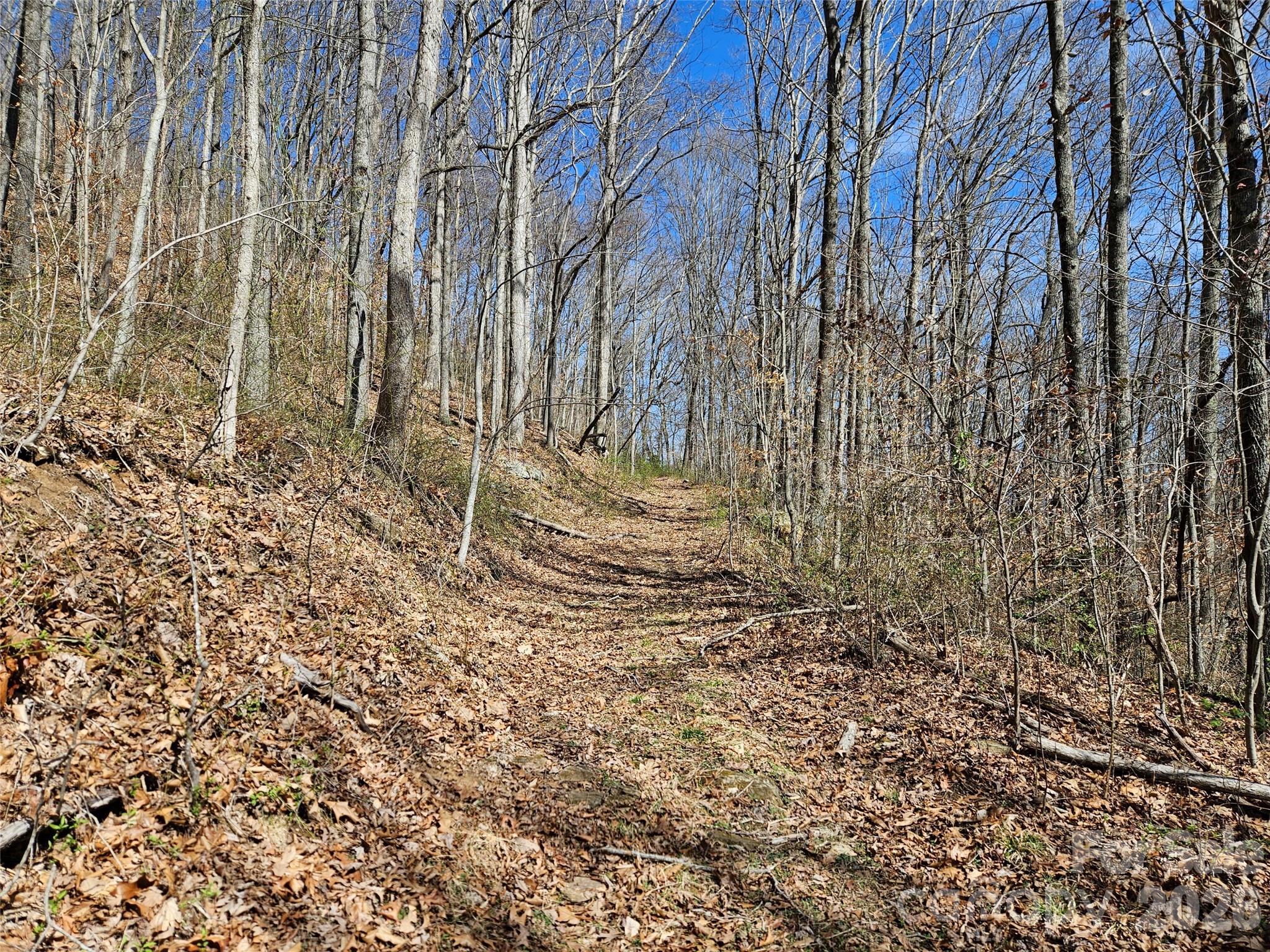 1200 Rocky Knob Road Waynesville, NC 28786 - Photo 32 of 32 Gallery Image 32