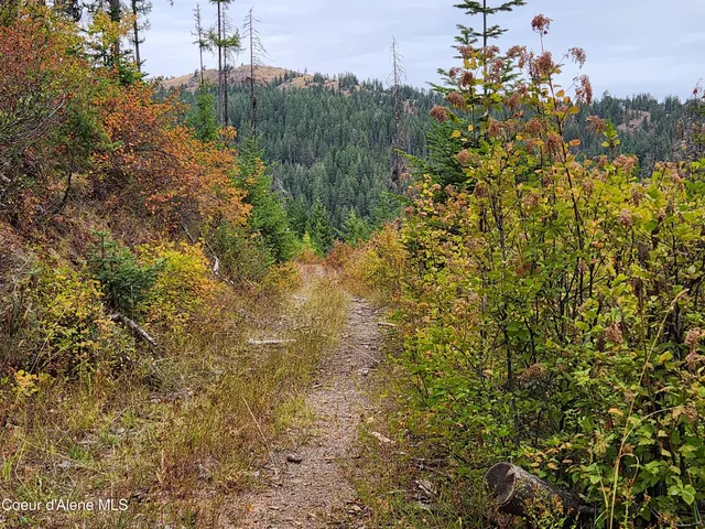 $199,000 | Nna Nna Talache Black Trail, Sagle, ID 83860