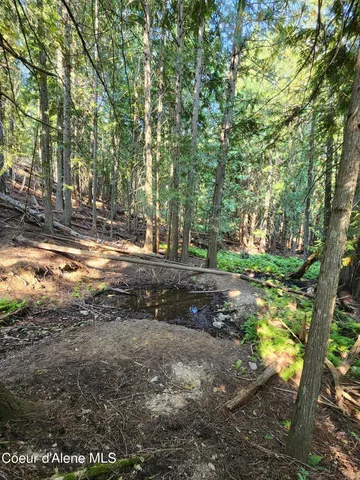 $199,000 | Nna Nna Talache Black Trail, Sagle, ID 83860