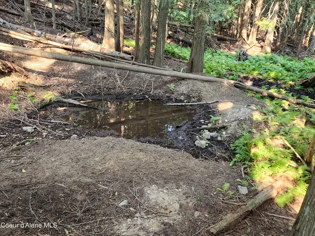 $199,000 | Nna Nna Talache Black Trail, Sagle, ID 83860