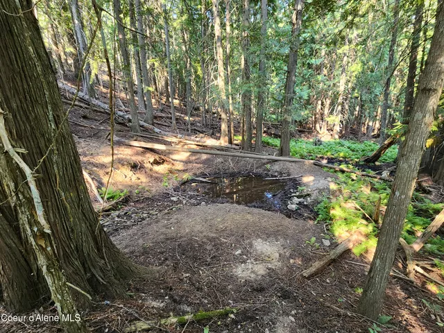 $199,000 | Nna Nna Talache Black Trail, Sagle, ID 83860