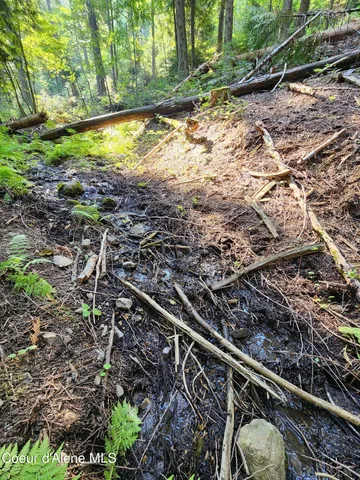 $199,000 | Nna Nna Talache Black Trail, Sagle, ID 83860