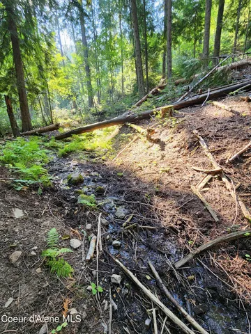 $199,000 | Nna Nna Talache Black Trail, Sagle, ID 83860