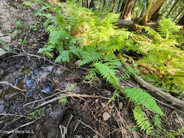 $199,000 | Nna Nna Talache Black Trail, Sagle, ID 83860