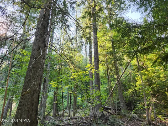 $199,000 | Nna Nna Talache Black Trail, Sagle, ID 83860