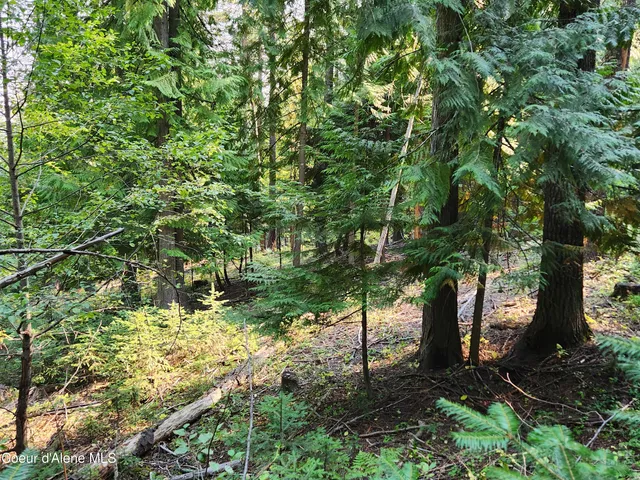 $199,000 | Nna Nna Talache Black Trail, Sagle, ID 83860