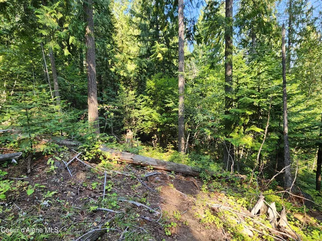 $199,000 | Nna Nna Talache Black Trail, Sagle, ID 83860