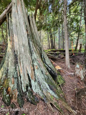 $199,000 | Nna Nna Talache Black Trail, Sagle, ID 83860