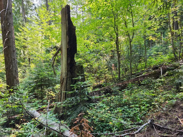 $199,000 | Nna Nna Talache Black Trail, Sagle, ID 83860