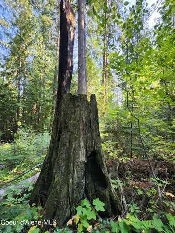 $199,000 | Nna Nna Talache Black Trail, Sagle, ID 83860