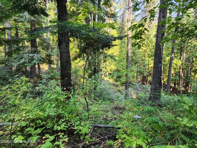 $199,000 | Nna Nna Talache Black Trail, Sagle, ID 83860