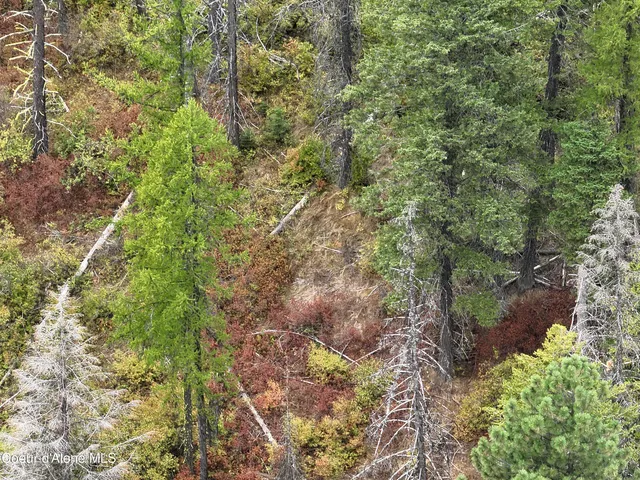 $199,000 | Nna Nna Talache Black Trail, Sagle, ID 83860