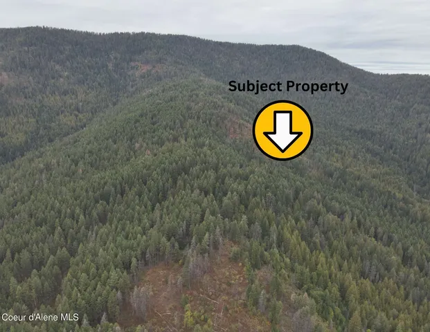 $199,000 | Nna Nna Talache Black Trail, Sagle, ID 83860