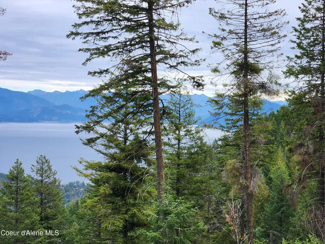 $199,000 | Nna Nna Talache Black Trail, Sagle, ID 83860