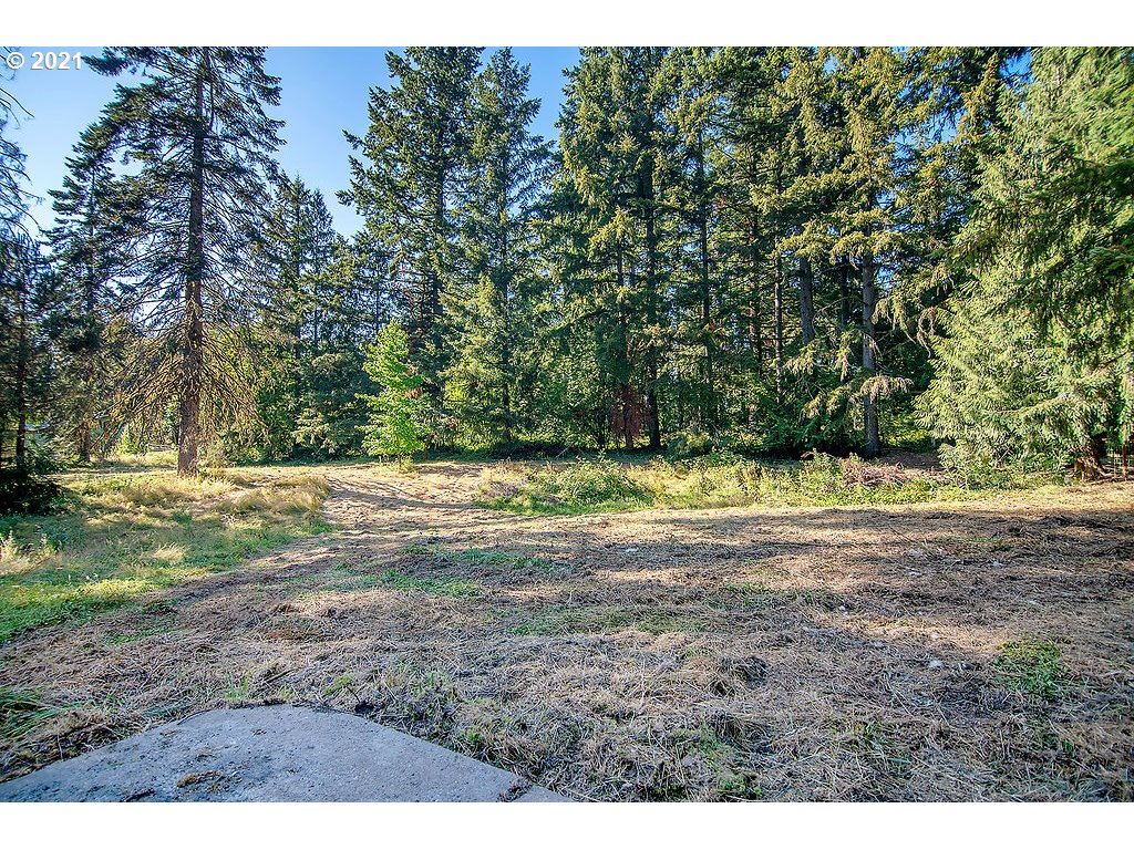 103 Studebaker Road Castle Rock, WA 98611 - Photo 29 of 32