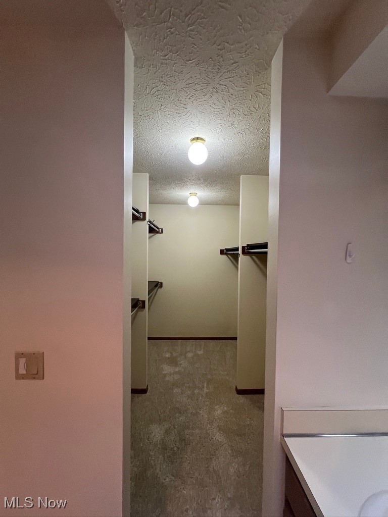 11331 Palmer Road Painesville, OH 44077 - Photo 18 of 47 Spacious closet with carpet flooring
