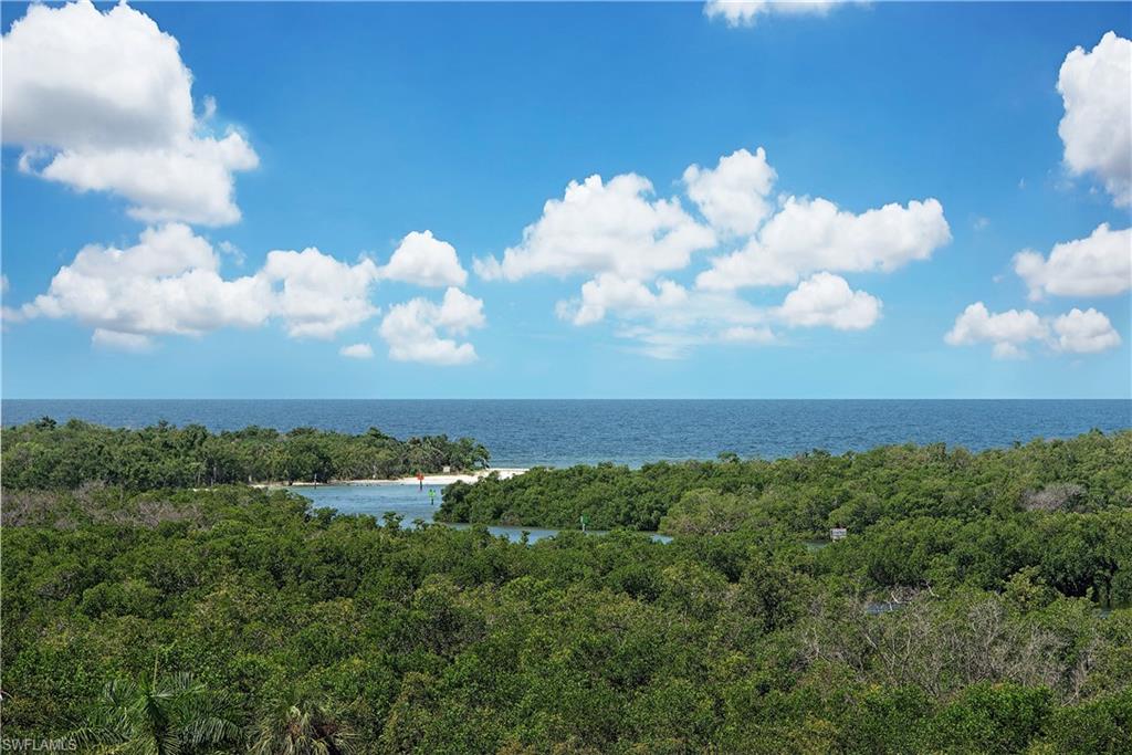 13915 Old Coast Road, Unit 602 Naples, FL 34110 - Photo 5 of 37 a view of a lake in middle of forest
