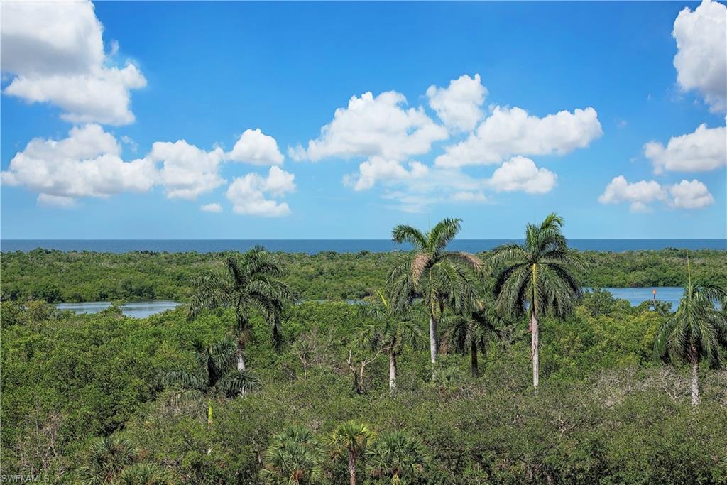 13915 Old Coast Road, Unit 602 Naples, FL 34110 - Photo 6 of 37 a view of a bunch of trees in the background